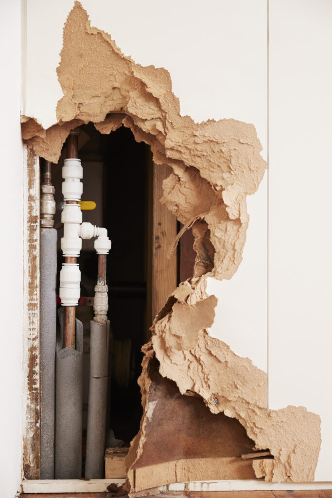 Detect Water Leaks Before They Cause Major Damage